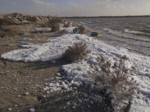 foam along the shoreline of Holloman Lake near Alamogordo, N.M.