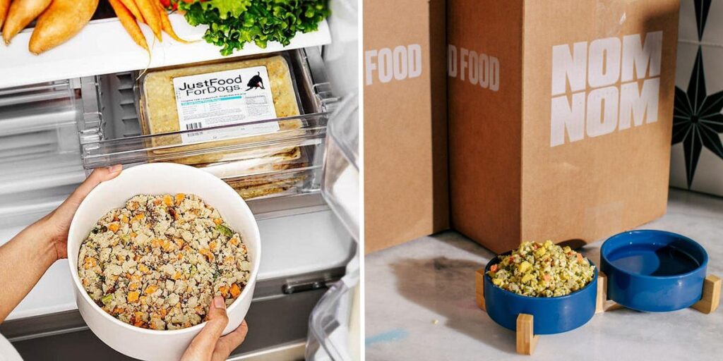 The Best Fresh Dog Food in 2025, Tested and Reviewed