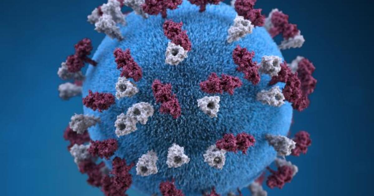Measles cases in northern Arizona hit 97 this year