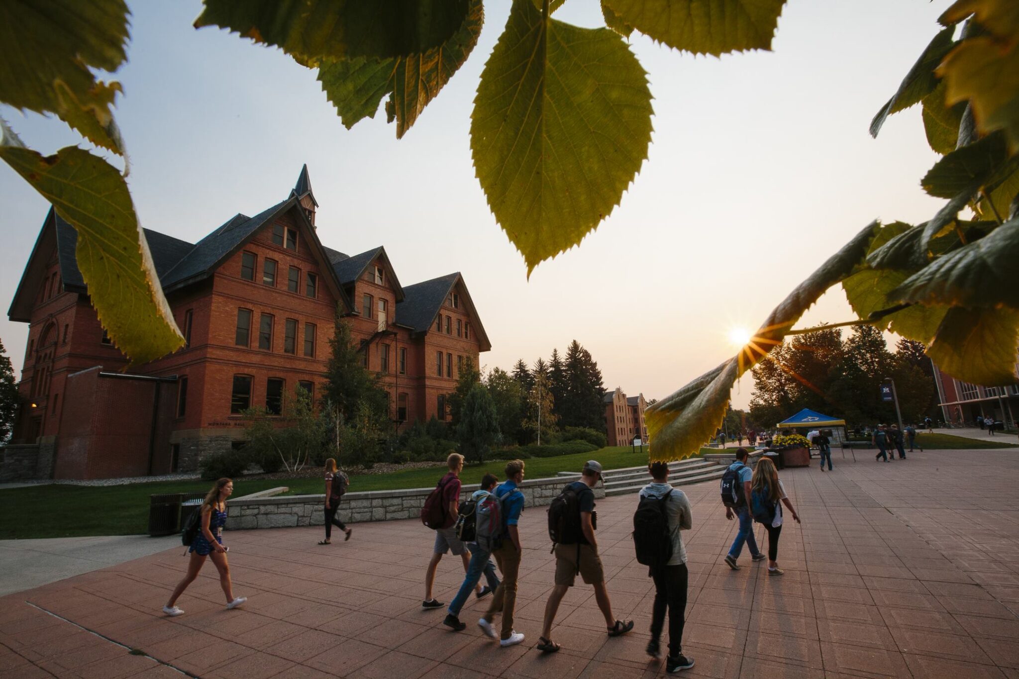 Montana’s largest universities see year-over-year enrollment growth • Daily Montanan