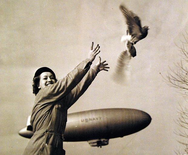 How Pigeons Helped U.S. Navy Blimps Hunt German U-Boats in World War II