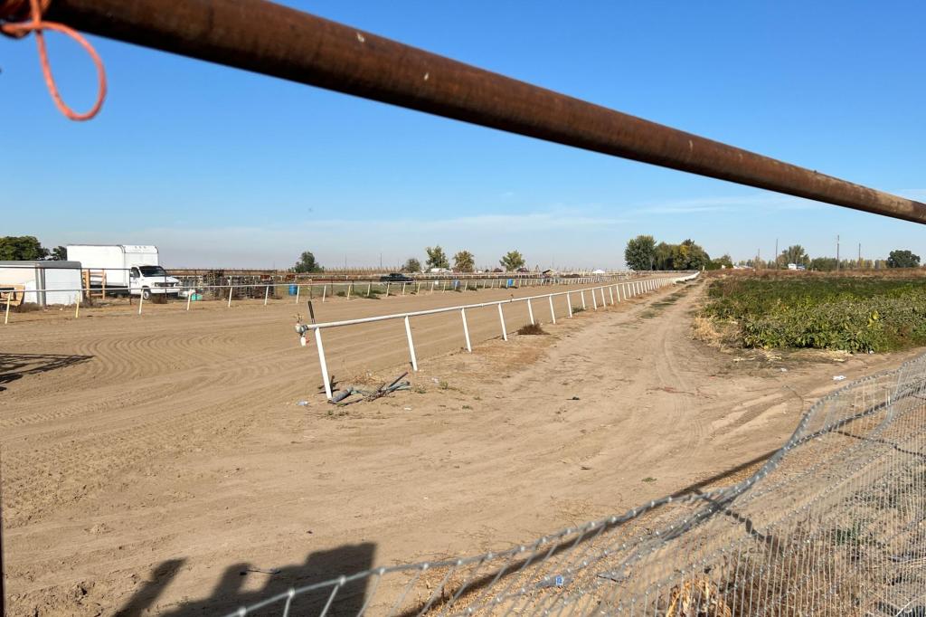 Federal judge orders release of 16 migrants detained in Idaho raid, citing due process violations