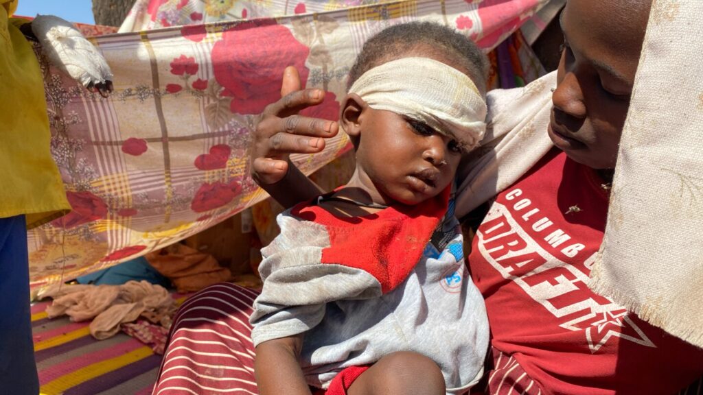 US seeks humanitarian truce in Sudan while ICC looks at el-Fasher rampage