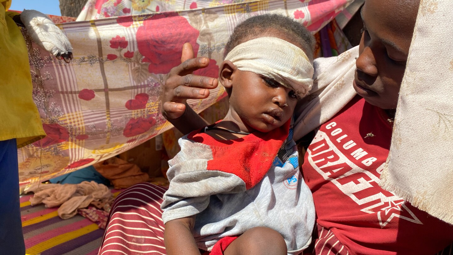 US seeks humanitarian truce in Sudan while ICC looks at el-Fasher rampage