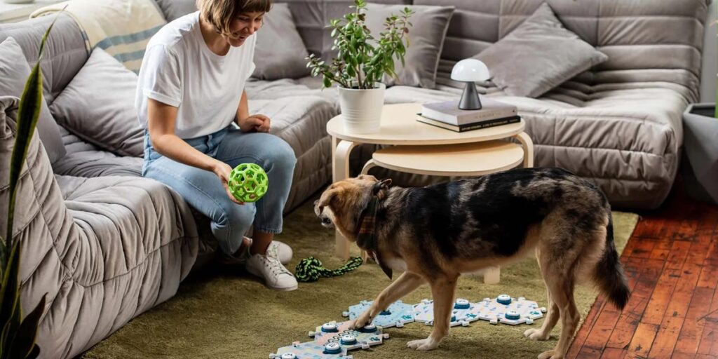 The 4 Best Dog Talking Buttons of 2025