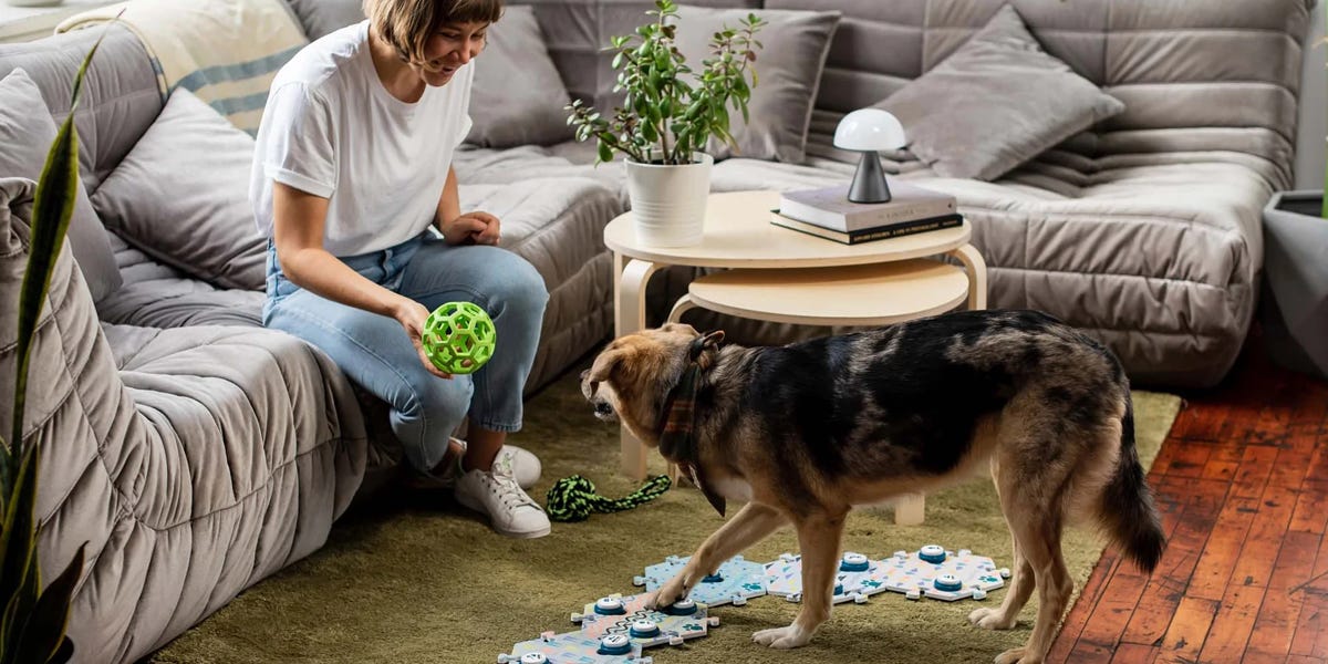 The 4 Best Dog Talking Buttons of 2025