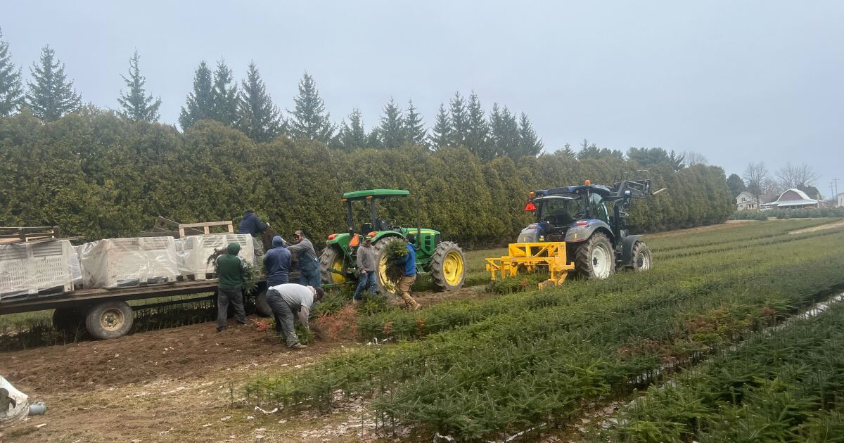 Farmworkers, some in Michigan, sue Trump Administration for new rule that’s cutting wages