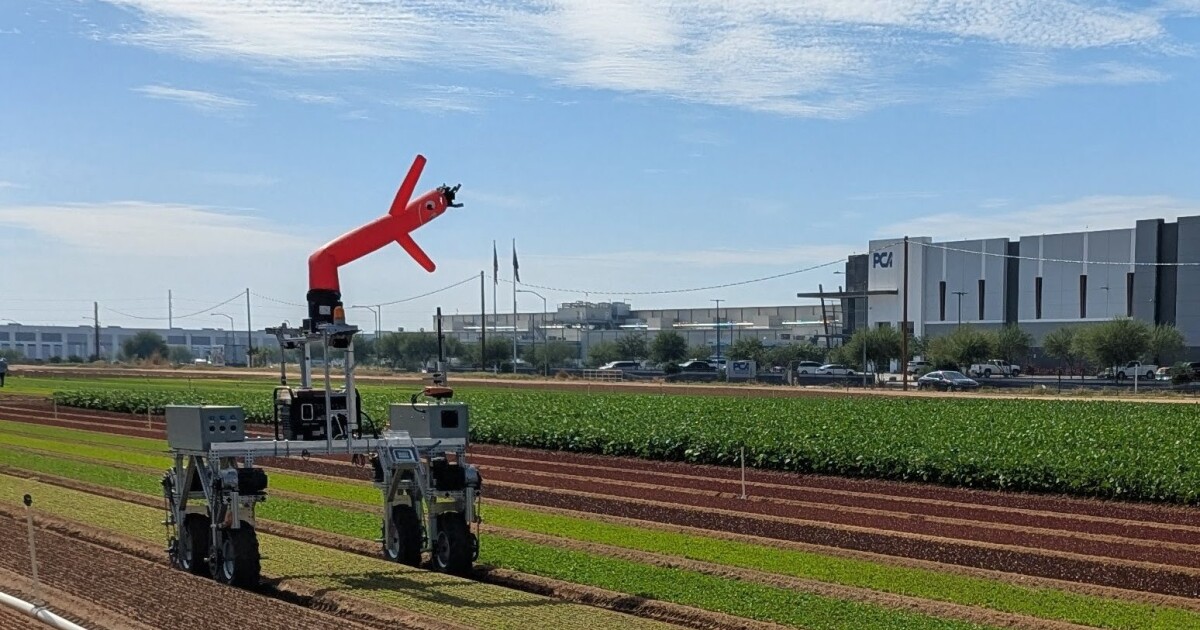 Company launched by ASU alums develops AI robots to help with farmwork