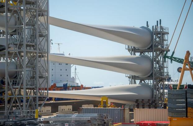 Pentagon Brushes Off Request to Understand How Wind Turbines Threaten National Security