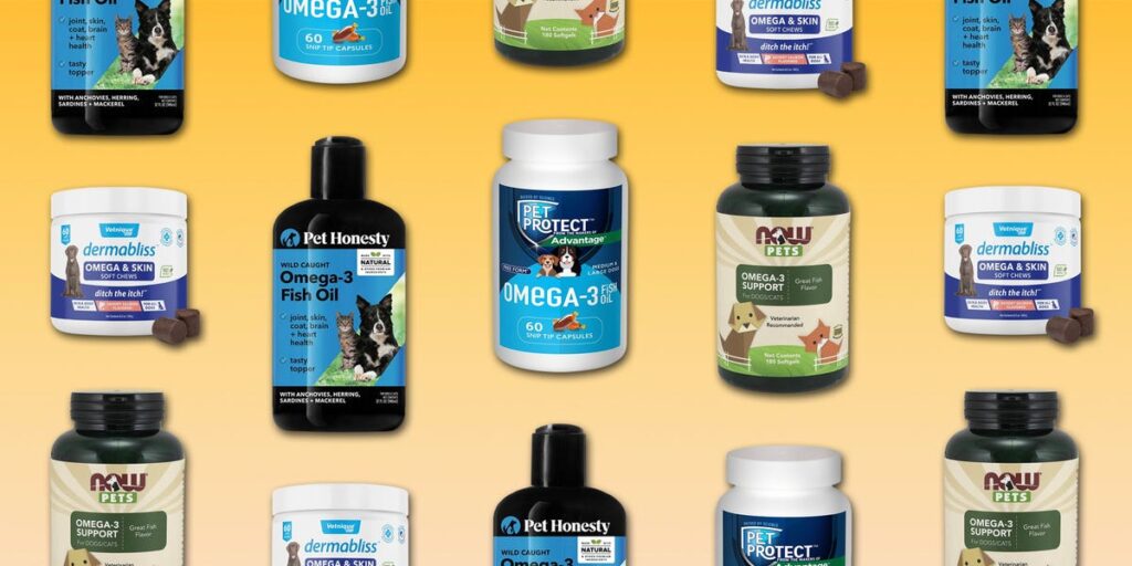 The Best Fish Oil for Dogs in 2026