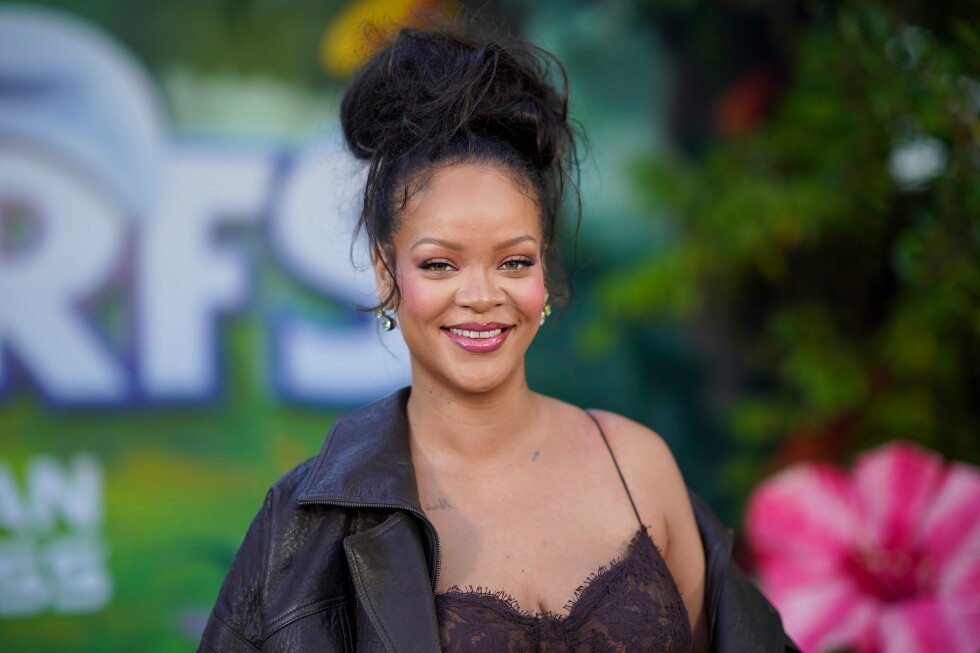 Florida Woman Pleads Not Guilty in Attempted Murder of Rihanna Case ...