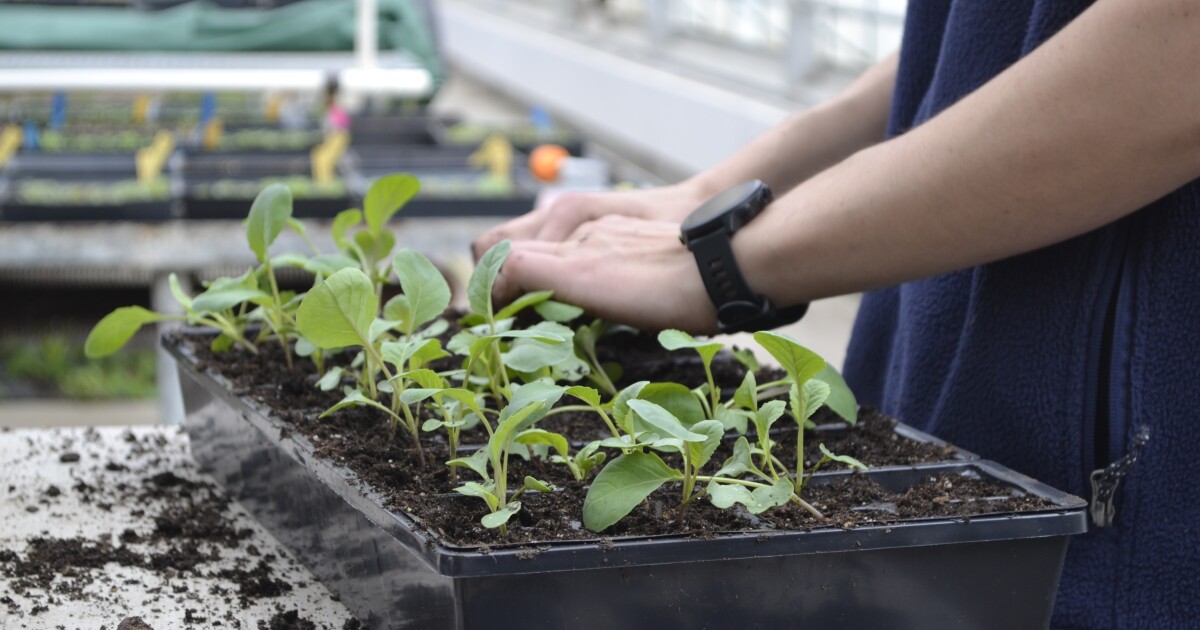 Lawmakers consider private sector, auto-enroll retirement plans to cover more Michiganders