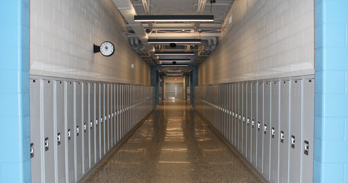 Audit finds concerns with Michigan's school services program