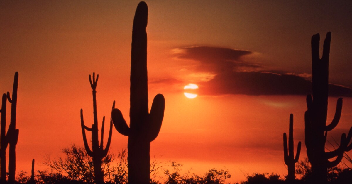 Phoenix temperatures this week expected to be the hottest ever recorded in March
