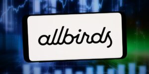 Bring on the Allbirds AI Memes