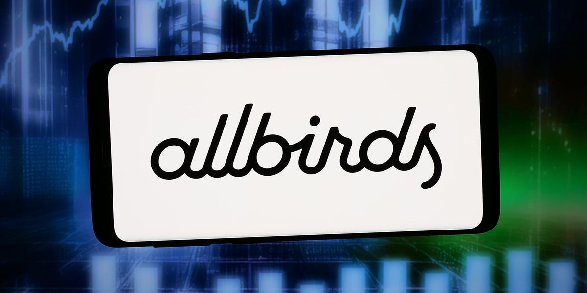 Bring on the Allbirds AI Memes