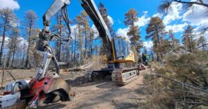 Cleanup event helps protect Flagstaff communities from wildfire. But its future is unsure