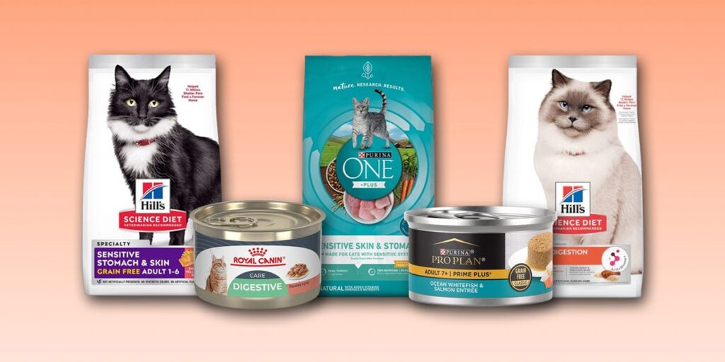 The Best Sensitive Stomach Cat Food, With Guidance From Veterinarians