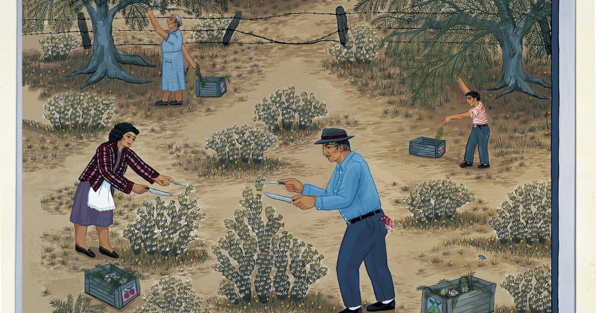 ASU Art Museum exhibit features Chicana artist Carmen Lomas Garza