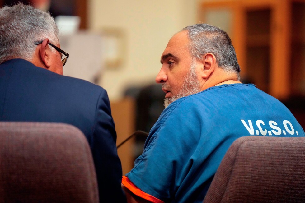 Pro-Palestinian protester pleads guilty to involuntary manslaughter