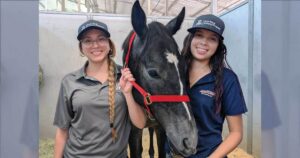 Students learn to be horse racing pros at University of Arizona