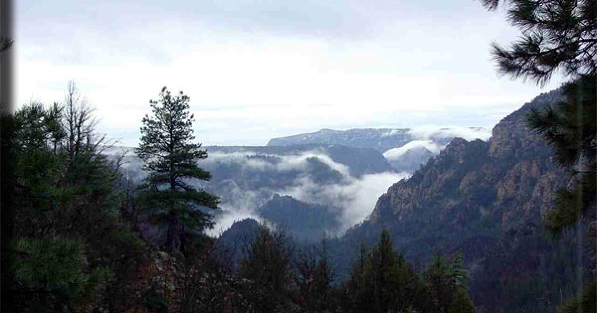 Latest on the Arizona wildfire near Oak Creek Canyon