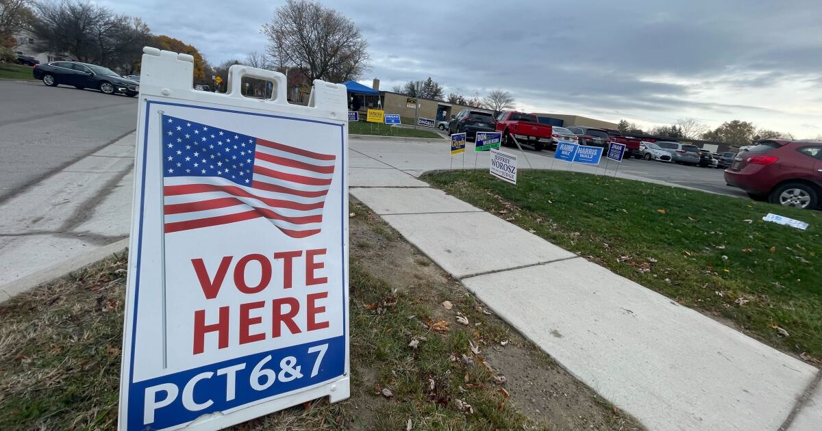 Democrats in Michigan Senate adopt state voter bill of rights