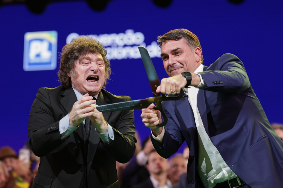 Brazil recalls ambassador after Argentina's President Milei insults officials
