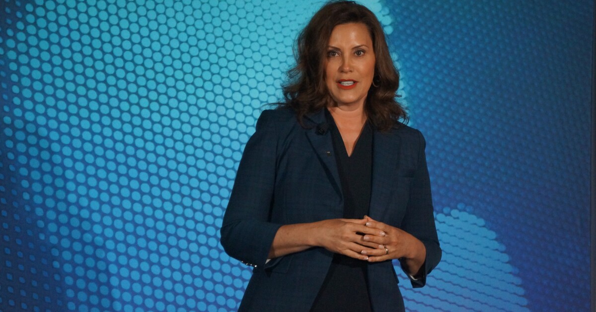 Michigan Supreme Court sends bills to Whitmer, who stuns with surprise vetoes