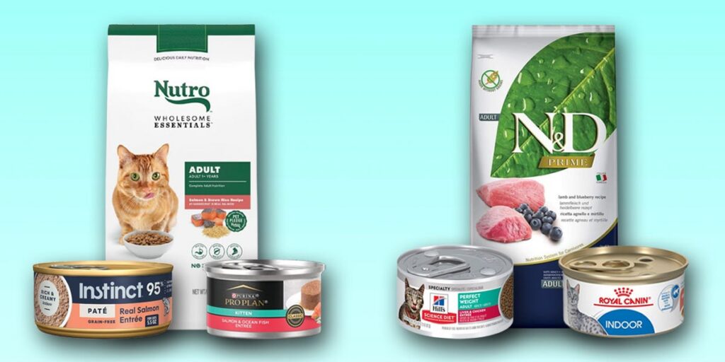 Best Cat Food, With Nutrition Recommendations From Veterinarians