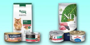 Best Cat Food, With Nutrition Recommendations From Veterinarians