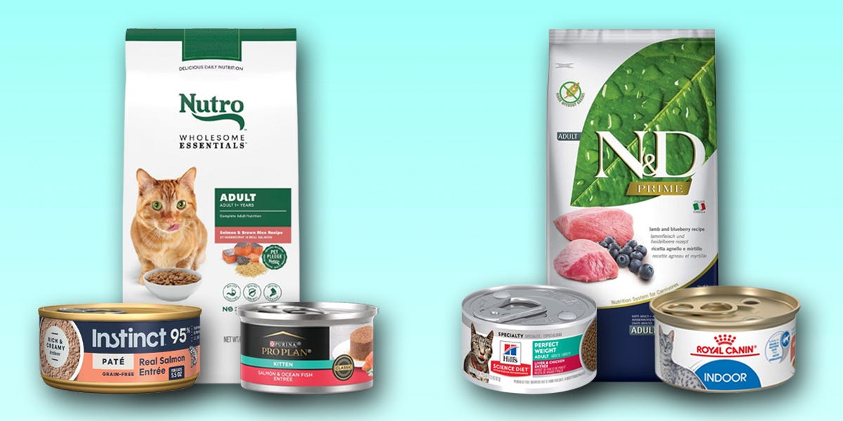 Best Cat Food, With Nutrition Recommendations From Veterinarians