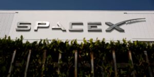 SpaceX and Tesla Are Two of the Most Compelling Shorts, Market Vet Says