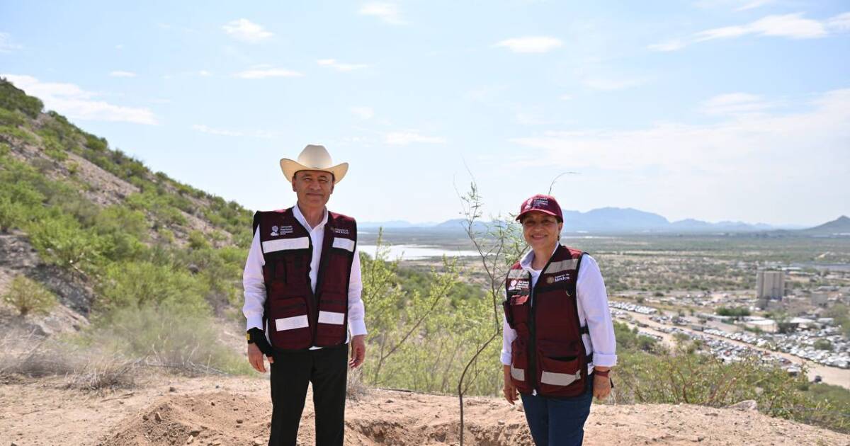 Sonora adds 1,000 native plants in Hermosillo as part of national reforestation effort