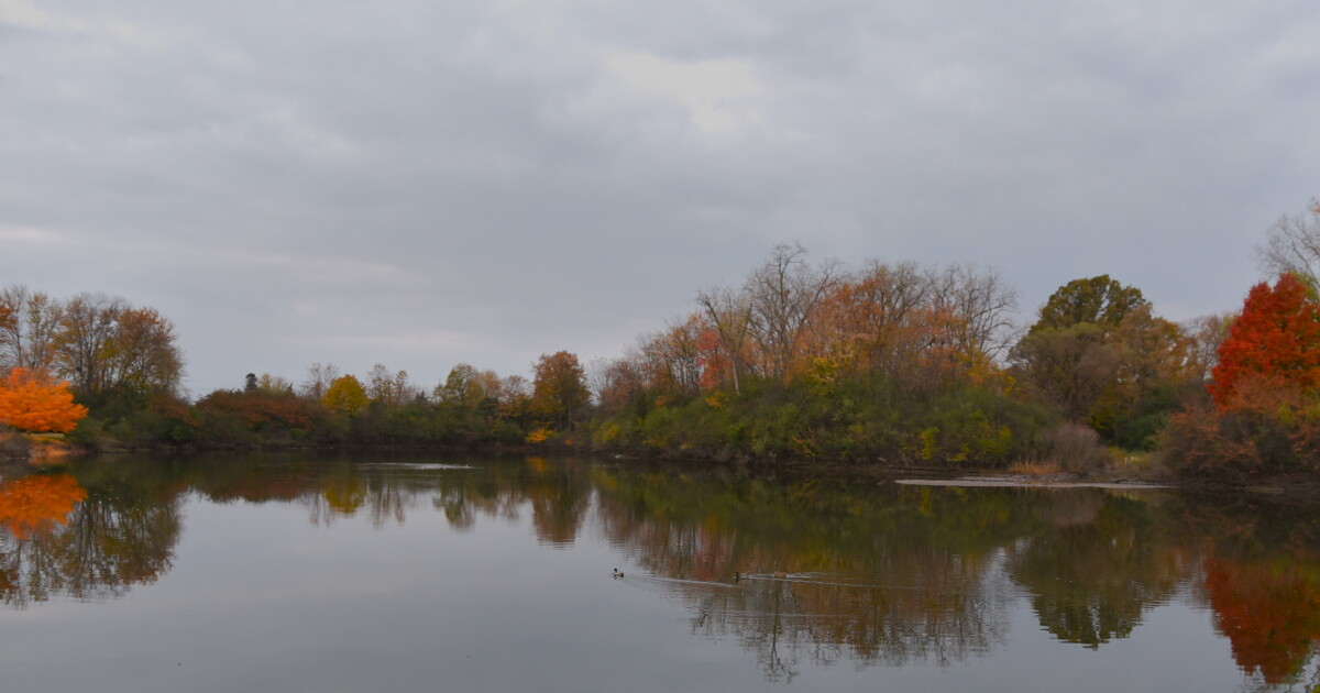 James campaign talks environmental policies in Macomb County
