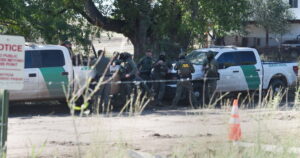 After old-growth cottonwood cut down on Arizona-Mexico border, protests continue in Lochiel